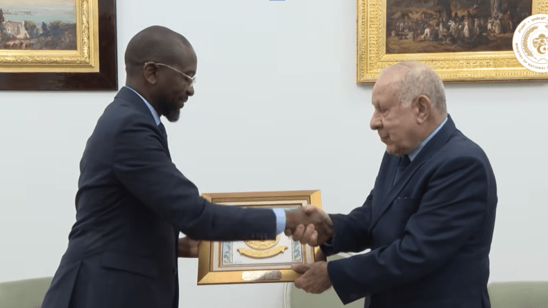 الفريق أول شنقريحة يتباحث مع وزير دفاع الموزمبيق