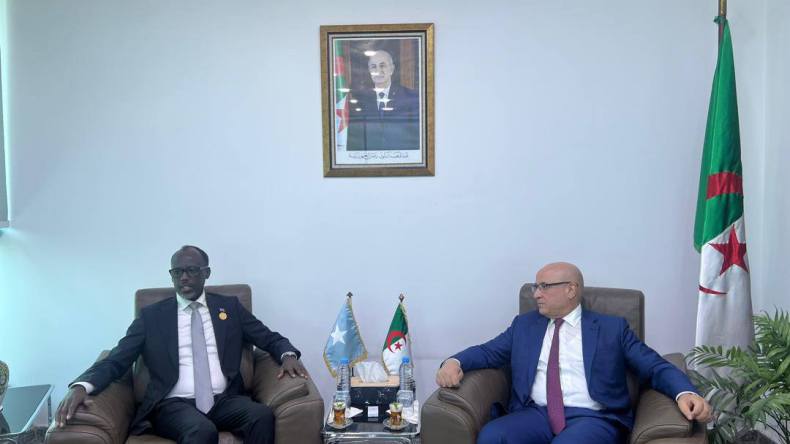 الجزائر والصومال تؤكدان على أهمية فتح آفاق جديدة للتعاون الاقتصادي والتجاري