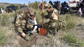 مشاركة واسعة لأفراد الجيش الوطني الشعبي في اليوم الوطني للتشجير