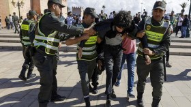 جيل زد 212 .. ميم 6 والذباب