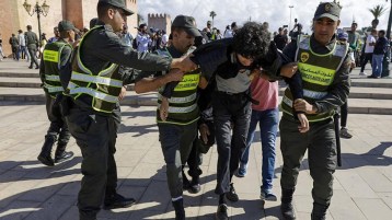 جيل زد 212 .. ميم 6 والذباب