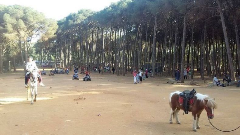 قرار هام يخص مرتادي غابة بوشاوي