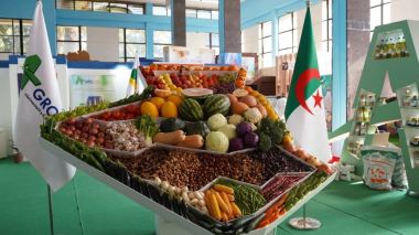 Consultative meeting to assess reality of exports and shore up competitiveness of Algerian products