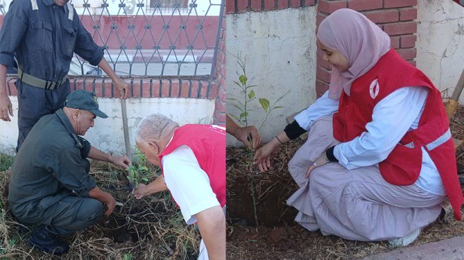الفلين، الزيتون، العرعار، الصنوبر، والخروب أصناف اخيترت لحملة التشجير وفق دراسة علمية