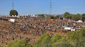 الجزائريون يلهمون العرب بمشروع المليون شجرة!