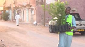 حملة غرس مليون شجرة .. تجاوب واسع من مواطني جل بلديات ولاية إن صالح