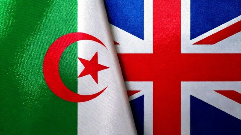 التعليم والابتكار في صدارة أجندة التعاون بين الجزائر وبريطانيا