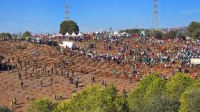 الشعب ينجح في تحدي “المليون شجرة”