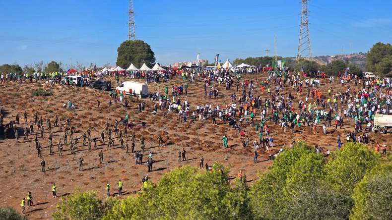 الشعب ينجح في تحدي “المليون شجرة”