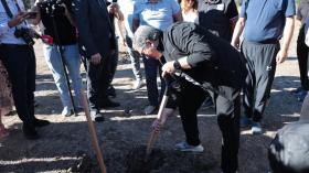 وزير الاتصال في قلب حملة غرس مليون شجرة