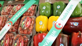 معارض خارجية للمنتجات الوطنية في 11 بلدا خلال 2026