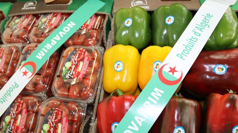 معارض خارجية للمنتجات الوطنية في 11 بلدا خلال 2026