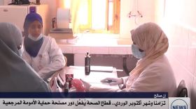 إن صالح.. تزامنا وشهر أكتوبر الوردي قطاع الصحة يفعل دور مصلحة حماية الأمومة المرجعية