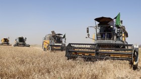 مستقبل الفلاحة في الجزائر يمرّ من هنا!