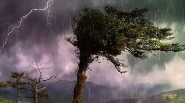 Un BMS annonce des pluies et des orages sur plusieurs wilayas