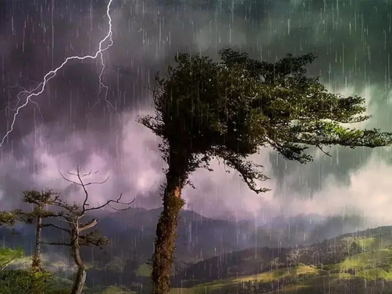 Un BMS annonce des pluies et des orages sur plusieurs wilayas