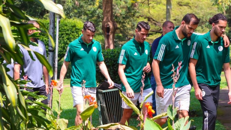 بيتكوفيتش يستنجد بِلاعب جديد