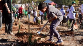 حملات التشجير ستعيد التوازن الإيكولوجي والبيئي!