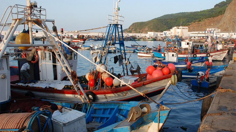 إيطاليا تدخل على خط تطوير الصيد البحري في الجزائر
