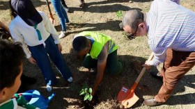 هكذا يتم الحفاظ على الأشجار بعد غرسها