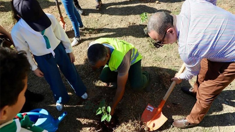 هكذا يتم الحفاظ على الأشجار بعد غرسها