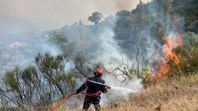 الحماية المدنية: تسجيل 7 حرائق غطاء نباتي في 3 ولايات