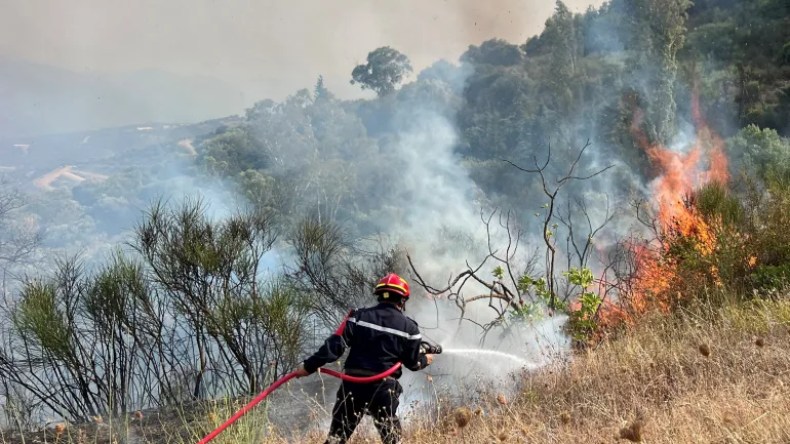 الحماية المدنية: تسجيل 7 حرائق غطاء نباتي في 3 ولايات