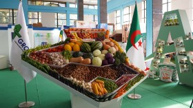 لقاء تشاوري لتقييم واقع التصدير وتعزيز تنافسية المنتوج الجزائري