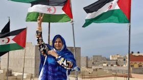 تبنّي مشروع القرار الأمريكي حول الصحراء الغربية في مجلس الأمن.. أولّ ردّ من البوليساريو