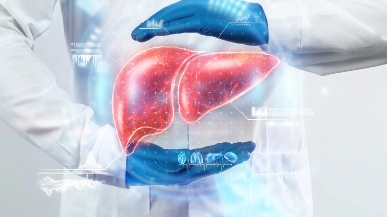 تعرّف على حقائق مذهلة عن الكبد لم تكن تعرفها