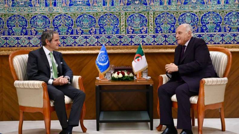 عطاف يستقبل المدير العام للوكالة الدولية للطاقة الذرية