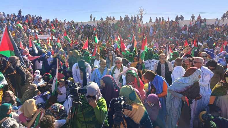 مسيرات حاشدة للصحراويين للمطالبة بحقهم في تقرير المصير (صور)