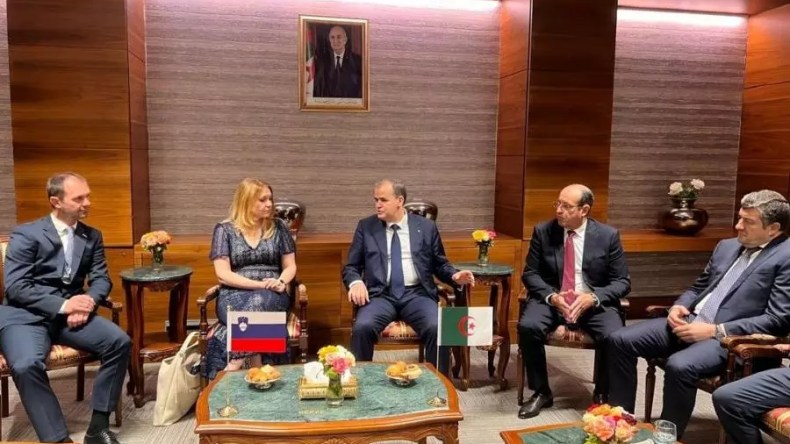 رزيق: الجزائر شريك قوي لسلوفينيا وبوابة إفريقيا