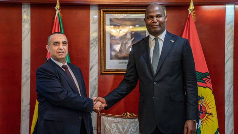 في إطار تعزيز التعاون الطاقوي.. عجال يُستقبل من طرف رئيس الموزمبيق