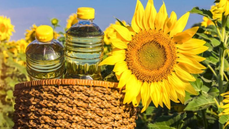 إجراءات جديدة لدعم الزراعات الزيتية