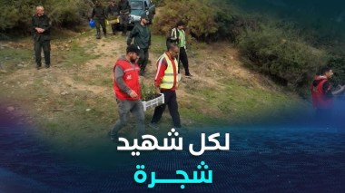 جيجل: تحت شعار “لكل شهيد شجرة”.. تنظيم حملة تشجير بجبل صندوح في تاكسنة لدلالته التاريخية