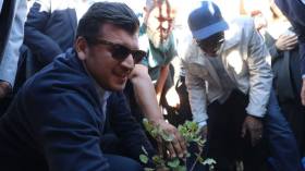 وزير الفلاحة: “مقابل كل شجرة احترقت سنغرس 10 أشجار”