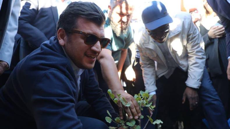 وزير الفلاحة: “مقابل كل شجرة احترقت سنغرس 10 أشجار”