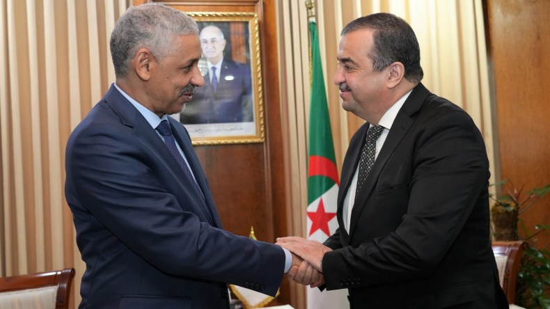 الجزائر والبنك الإفريقي للتنمية يعززان الشراكة الطاقوية والمنجمية