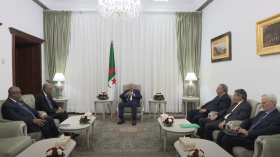 رئيس الجمهورية يستقبل رئيس مجموعة البنك الإفريقي للتنمية