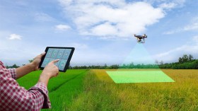 تسريع إدماج الذكاء الاصطناعي في الصحة والزراعة بالجزائر