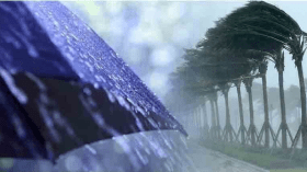 أحوال الطقس: رياح قوية ورعود وأمطار غزيرة عبر عدة ولايات