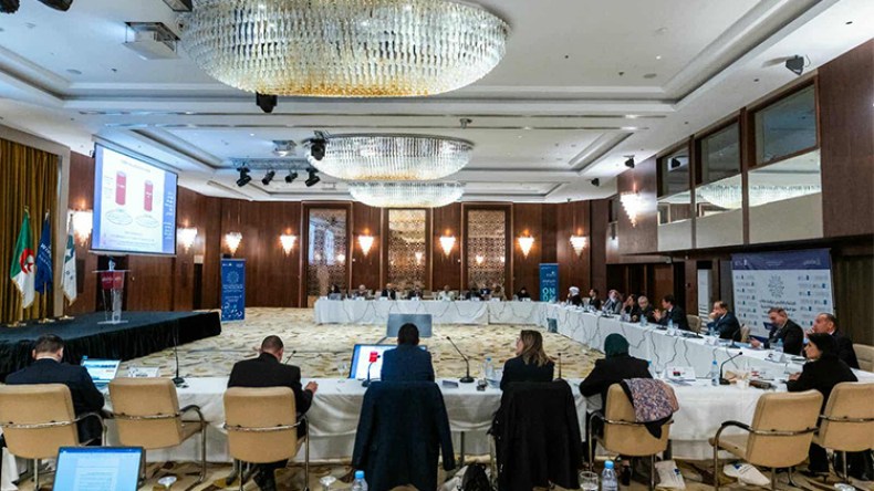 العرب يعتمدون خارطة طريق الجزائر وتوحيد الرؤية لحماية الإبداع العربي