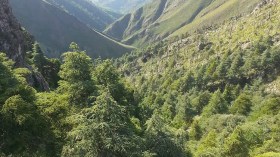 جبال بابور بسطيف تتحوّل إلى متاهة للمغامرين