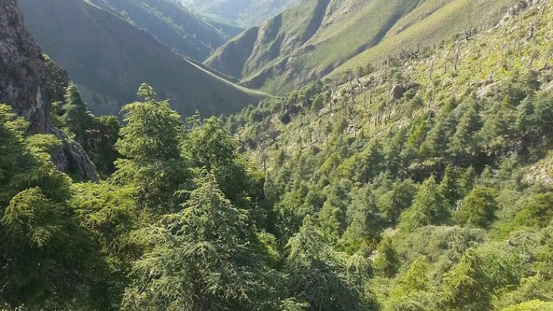 جبال بابور بسطيف تتحوّل إلى متاهة للمغامرين