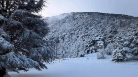 Des chutes de neige affecteront plusieurs wilayas du Centre et de l’Est