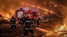 حرائق الخريف تلتهم مساحات غابية بـ10 ولايات