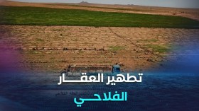 توزيع 190 ألف هكتار من الأراضي الفلاحية في إطار ملف تطهير العقار الفلاحي