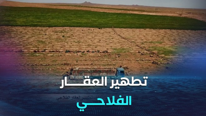 توزيع 190 ألف هكتار من الأراضي الفلاحية في إطار ملف تطهير العقار الفلاحي
