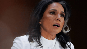 مراقبة وقف إطلاق النار في غزة.. مديرة الاستخبارات الأمريكية تقرّ بأمر هام 